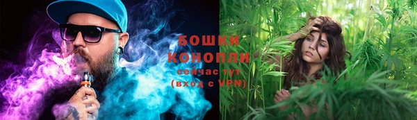 мдпв Покровск
